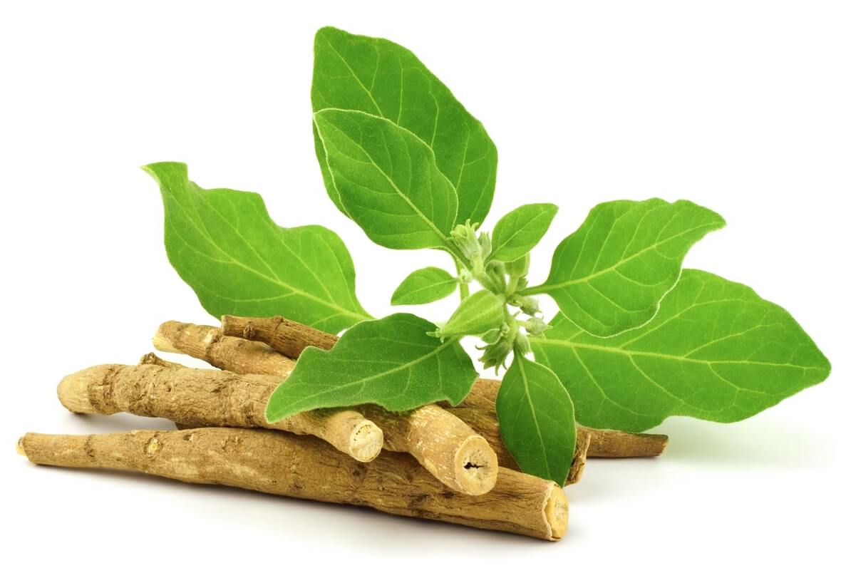 Ashwagandha a energie